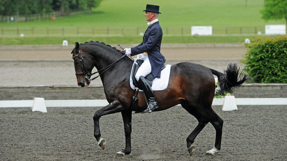 Bayford Hall Daglaglio