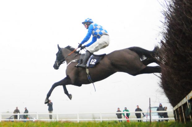 Envoye Special, James King (1st) Conditions Race (Div 2).