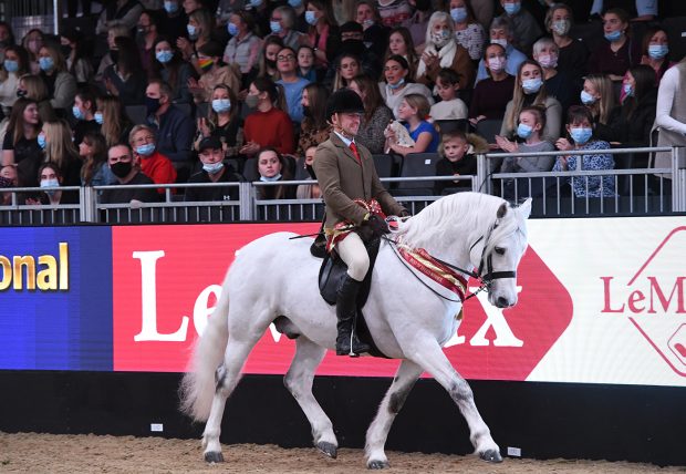 BSPS supreme Heritage Mountain and Moorland ridden championship