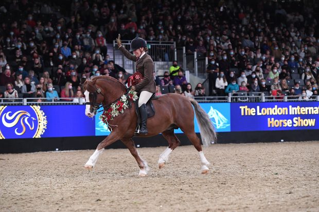 London Horse Show M&M final
