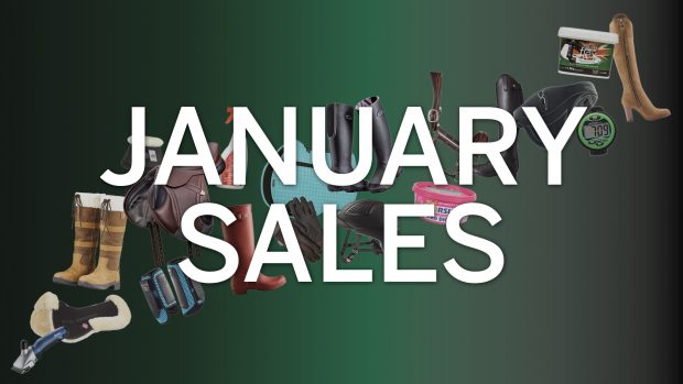 Best equestrian January sales