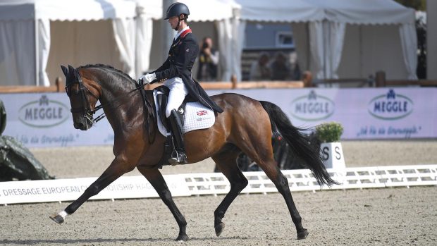 British dressage rider Lewis Carrier has been forced to withdraw Diego V, pictured, from the European Championships