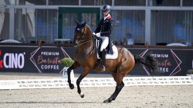 dressage rider Lewis Carrier