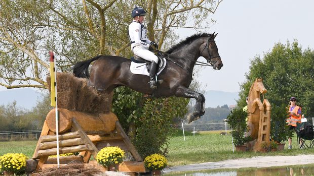 Best event horses in Britain right now: JL Dublin
