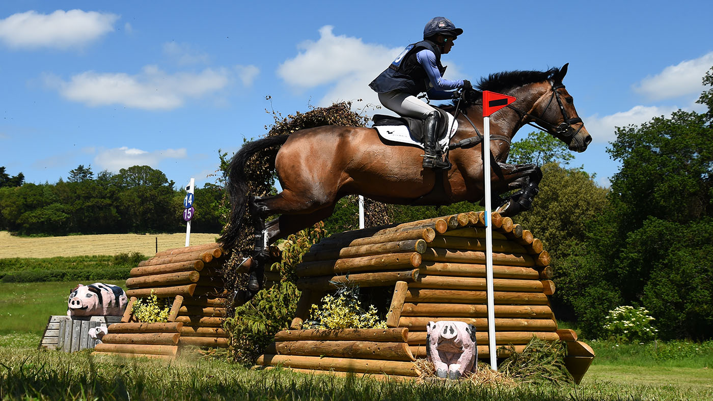 Best event horses: Lordships Graffalo