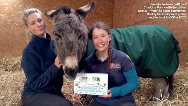 SEIB-Xmas-Charity-Hero_1400x788