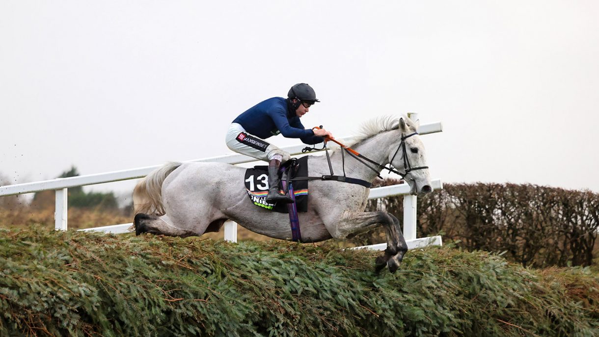 Snow Leopardess everything you need to know about this racehorse
