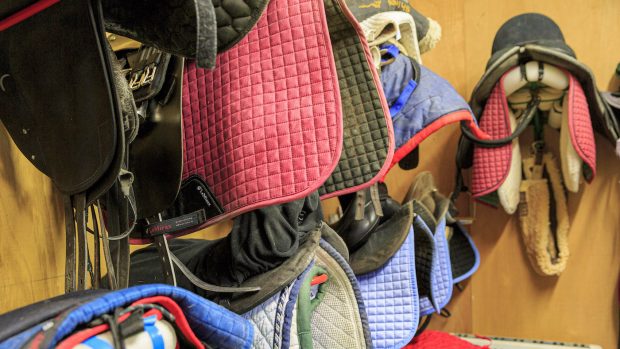 How to sell horse kit online