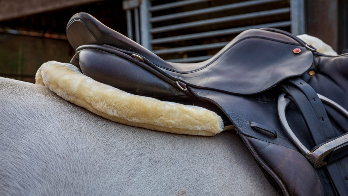 How to clean a saddle pad numnahs, sheepskin and halfpads