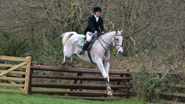 RoR Racing to Hunting Challenge winner Sire Collonges
