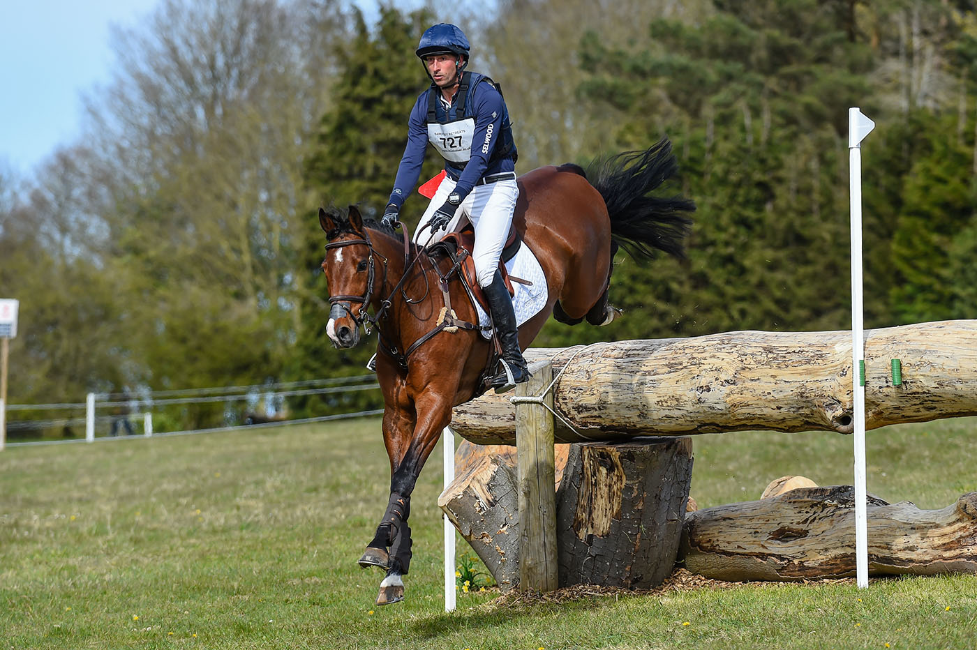 Best event horses in Britain: Falco