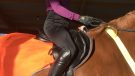 Equetech H2O winter breeches review