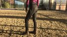 Equetech H2O winter breeches review
