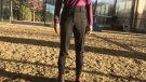 Equetech H2O winter breeches review