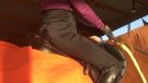 Equetech H2O winter breeches review