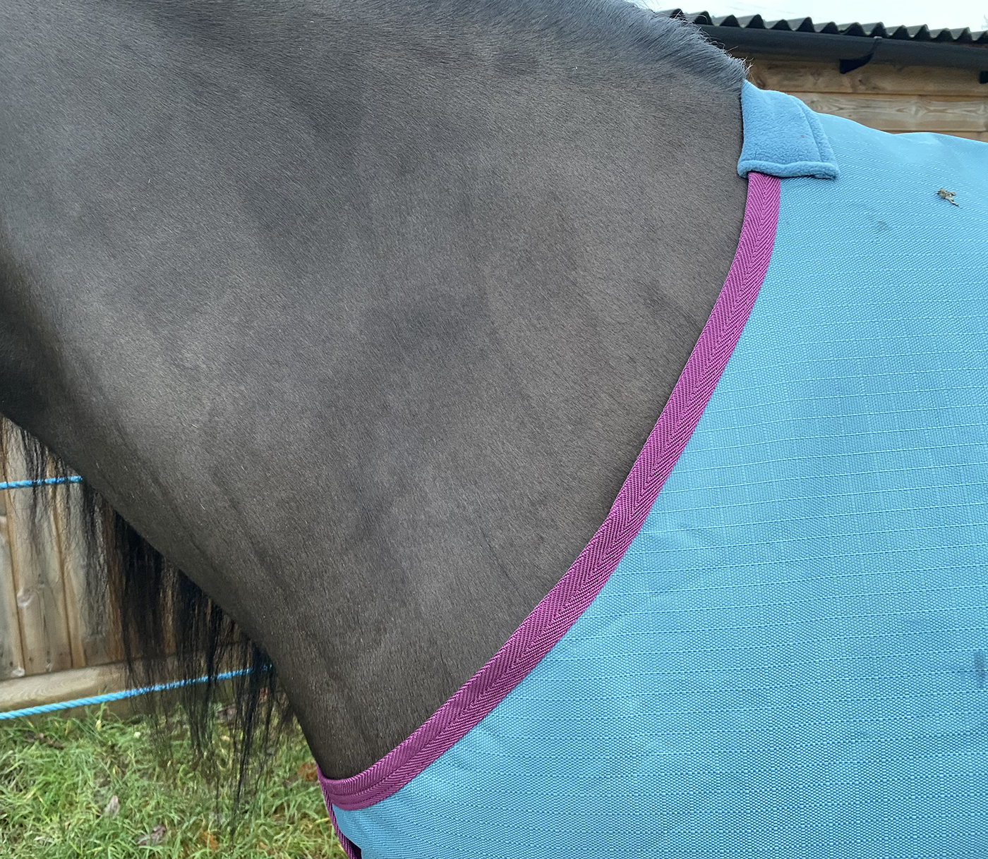 Derby House Pro Medium Lite review