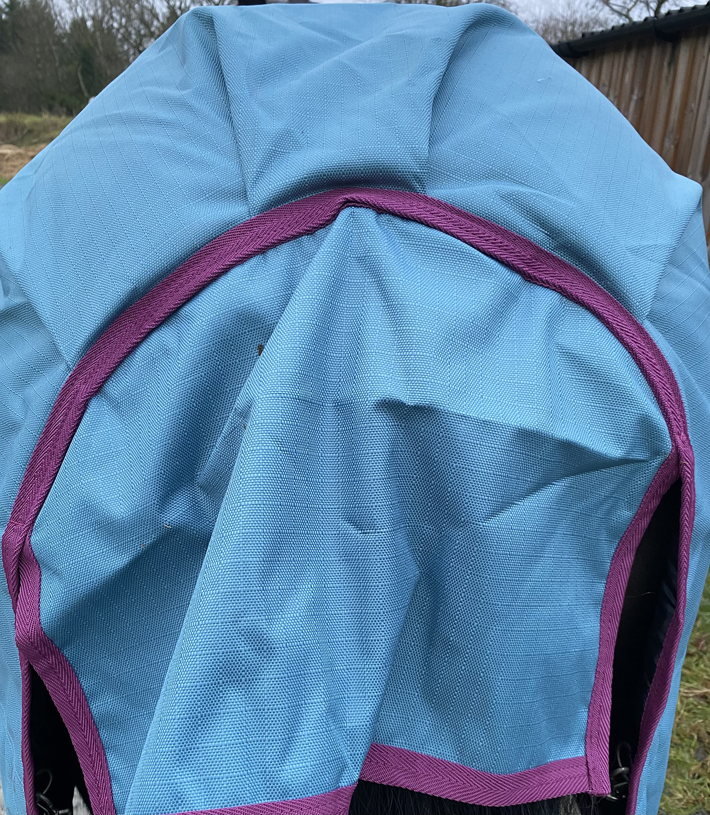 Derby House Pro Medium Lite review