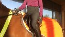 Toggi Winter Flexi breeches