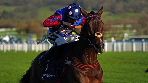 Paisley Park ridden by Aidan Coleman wins the Welsh Marches Stallions At Chapel Stud Cleeve Hurdle at Cheltenham Racecourse on Saturday 29 January 2022