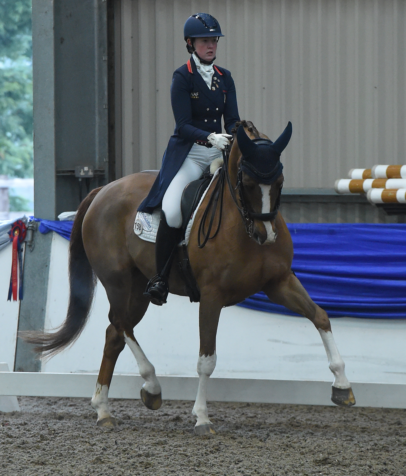 ANNA JESTY - COMMODORE PLATINUM