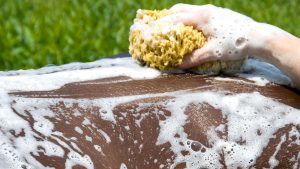 How to bath a horse