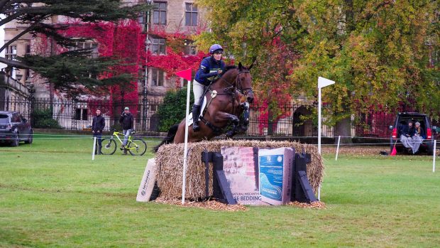 Animalintex Support Leading Rider Award at The Eventing Spring Carnival. Photo Credit Athalens