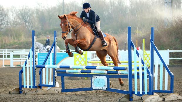 Annabel McCourt and ex-racehorse Discours D'Un Roi in action over the showjumps