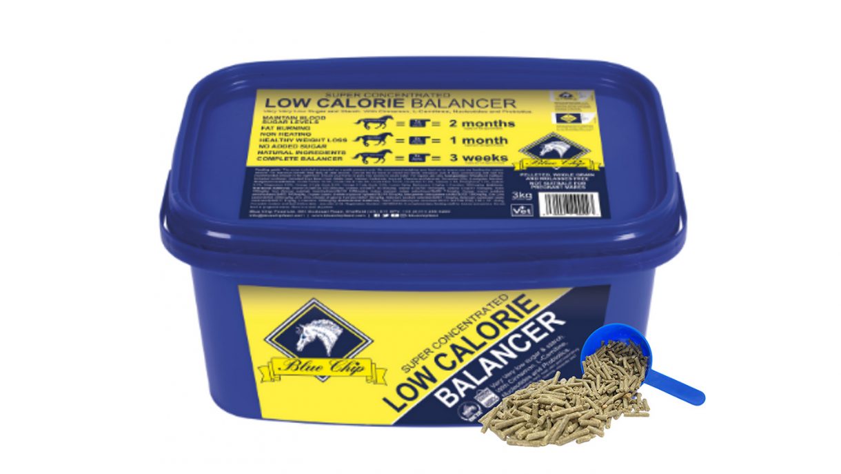 Feed balancers for horses what are the options? Horse & Hound
