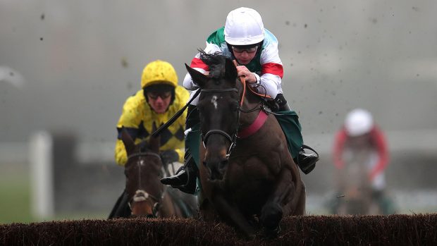 Brave Seasca on the way to winning at Warwick