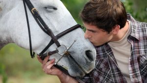 equine therapy