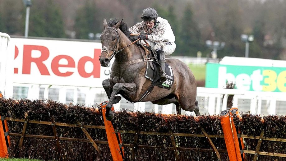 Nico de Boinville riding Constitution Hill clear the last to win The Unibet Tolworth Novices' Hurdle at Sandown Park Racecourse on 8 January.