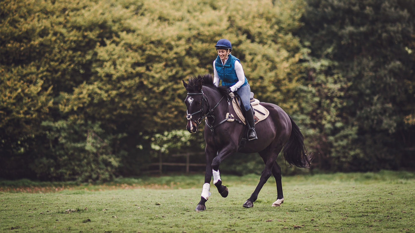 Dengie-Healthy-Horse