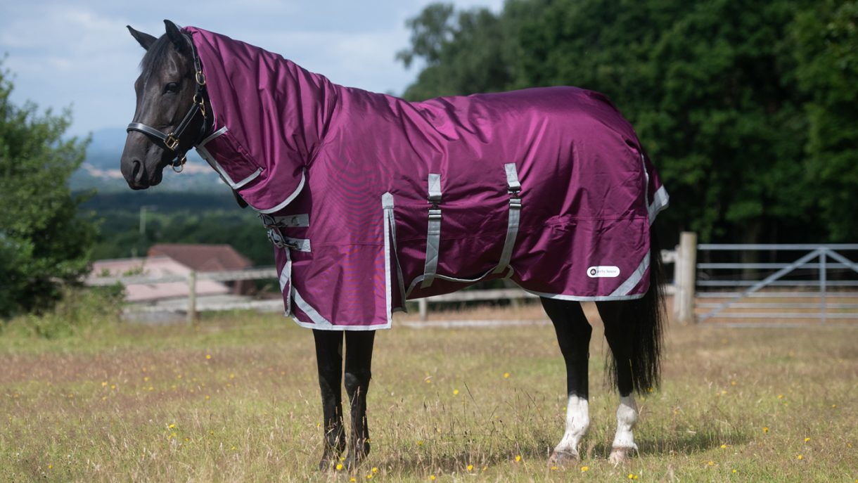 How to choose the best turnout rug for your horse Horse & Hound