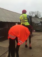 horse riders