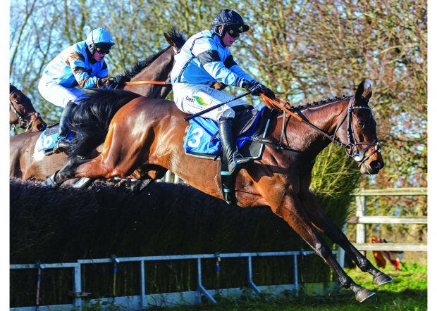 Fumet D_Oudairies - Gina Andrews (10 of 27) The Ladies Open race at the Thurlow Hunt Point to Point steeplechases at Horseheath racecourse on Friday 31st December 2021