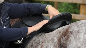 Horse owners have been urged to continue routine appointments, such as saddle fittings, and avoid cutting corners in essential horse care during the cost of living crisis