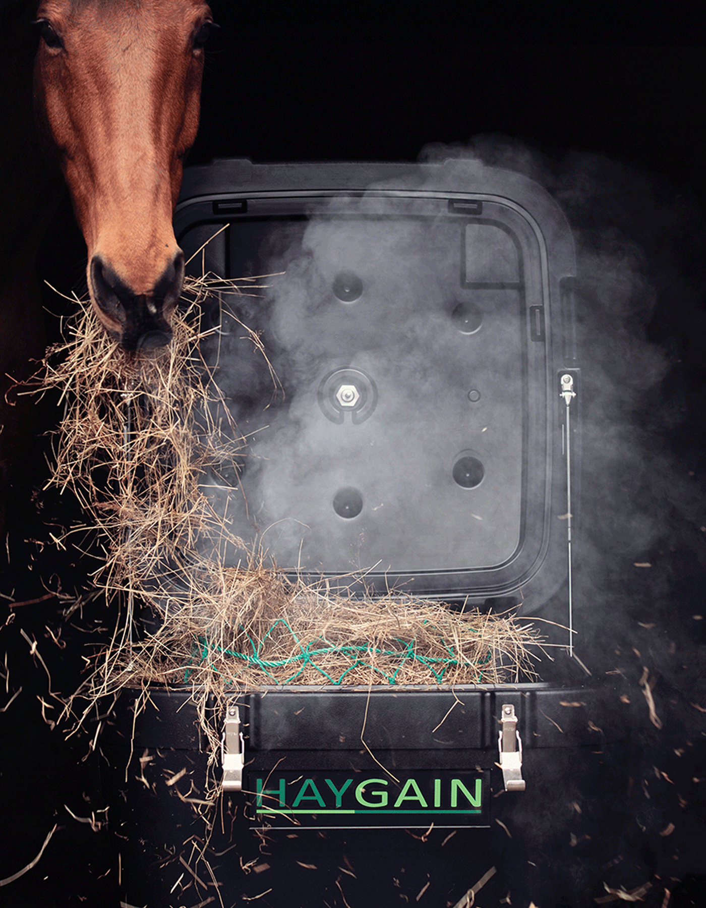Haygain_HG600_Horse_1400-x-1800px