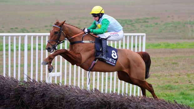 Highway Jewel, Bradley Gibbs (1st) INEOS Mixed Open