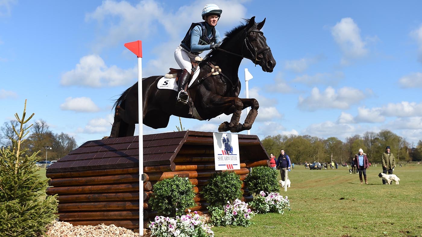 Classic Moet at Belton Horse Trials in 2016