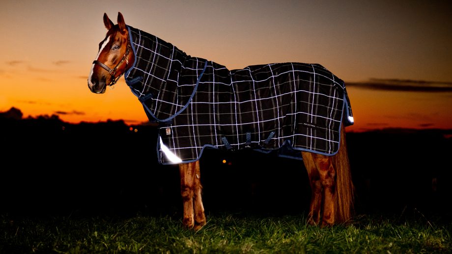 Best medium weight turnout rugs for horses Horse & Hound