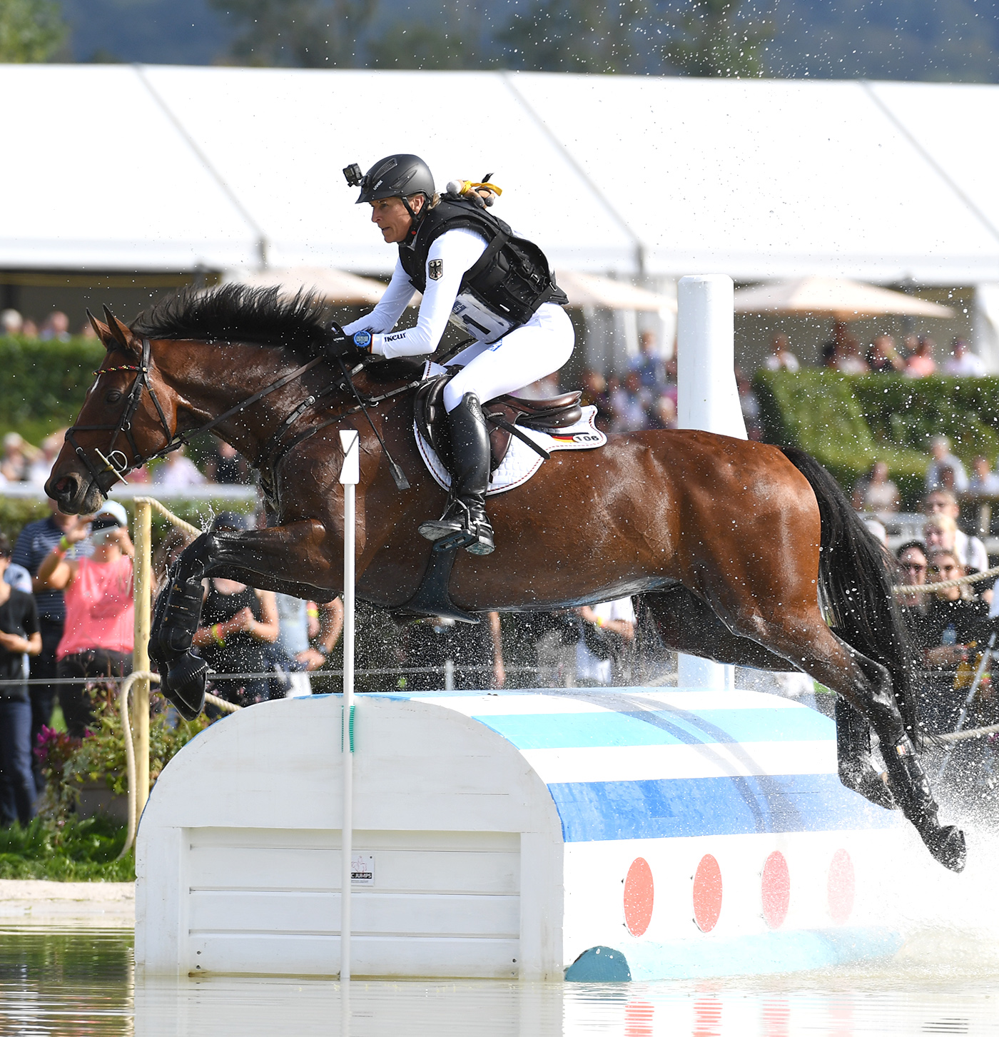 Best event horses: SAP Hale Bob OLD, ridden by Ingrid Klimke