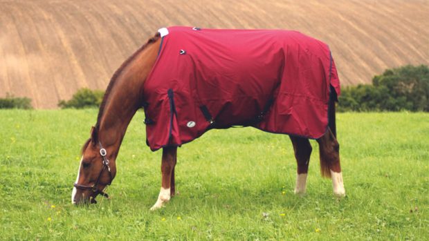 JHL Essential Lightweight Plus