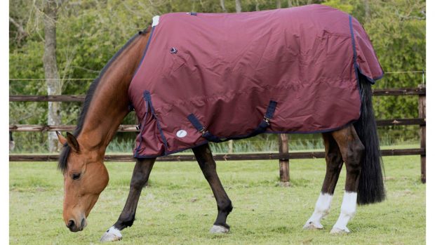 JHL Essential medium turnout review