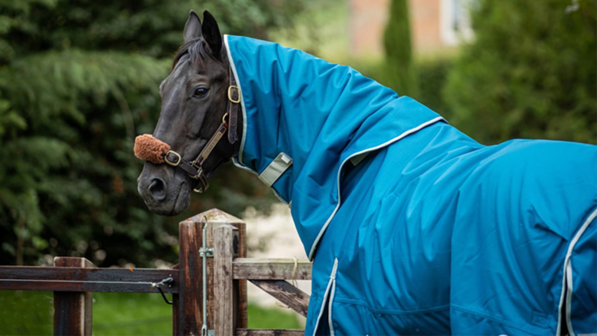 How to choose the best turnout rug for your horse Horse & Hound