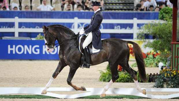 Björsells Briar has died aged 31