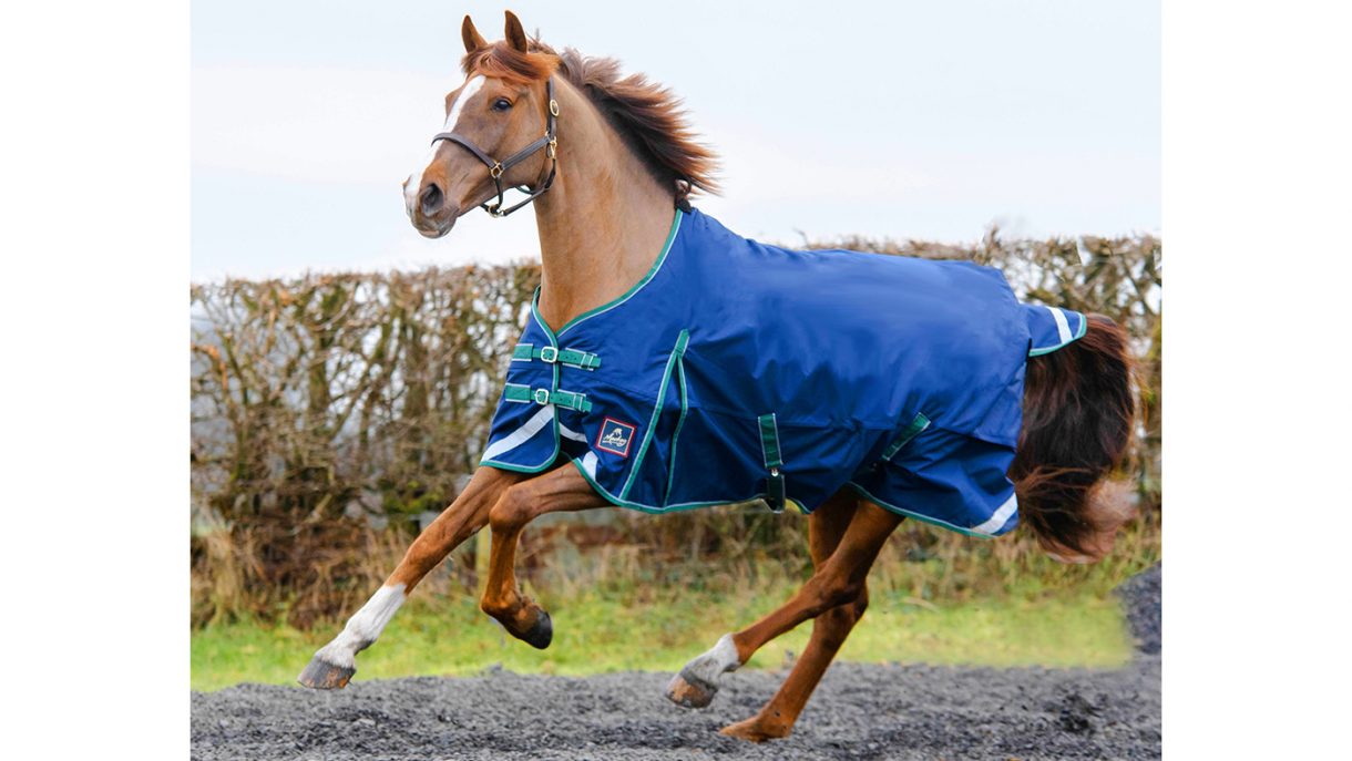 Cheap horse rugs for shopping on a budget Horse & Hound