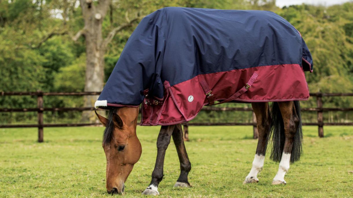 Best medium weight turnout rugs with up to 250g fill Horse & Hound