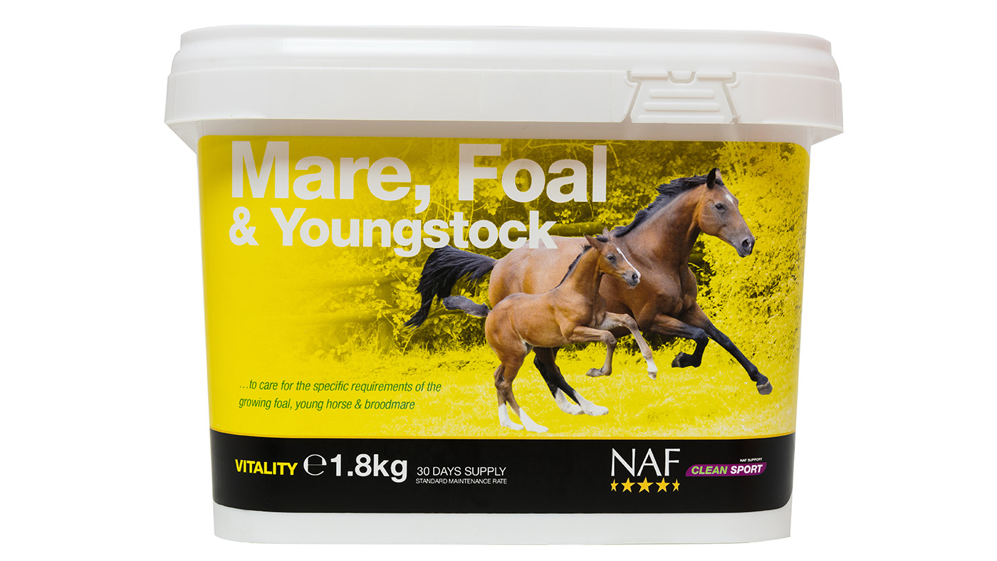 NAF Mare Foal & Youngstock