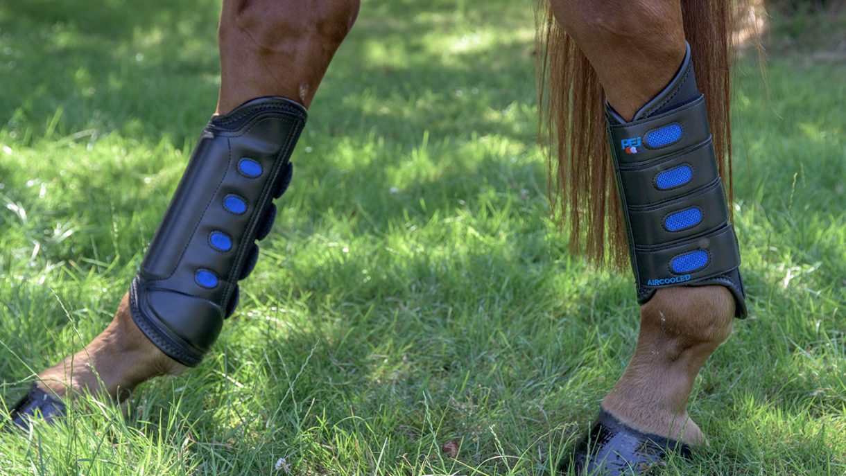 Types of horse boots which one is right for your horse? Horse & Hound