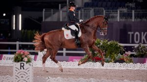 para dressage